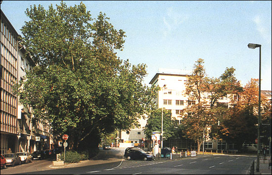 Taubenplatz vorher