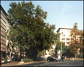 Taubenplatz vorher